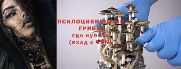 apvp Алексеевка