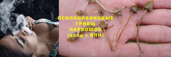 амф Алексин
