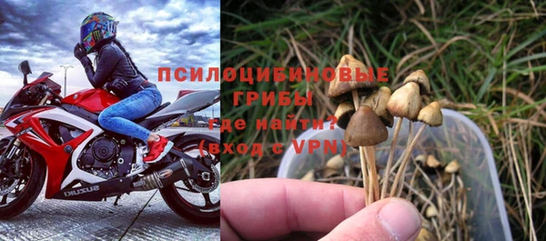 амф Алексин