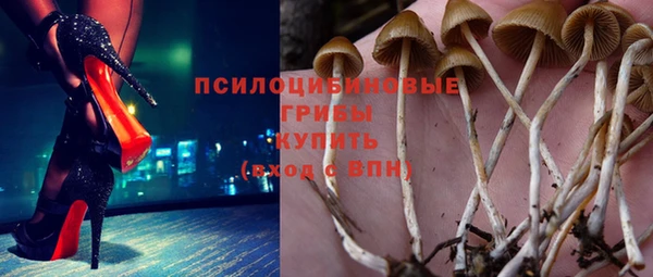 apvp Алексеевка
