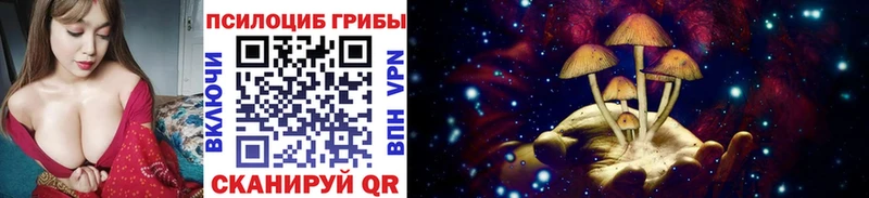 Галлюциногенные грибы Psilocybe  Лабинск 